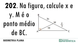 C06 PERPENDICULARIDADE 202 [upl. by Deane624]