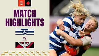 Geelong v Essendon Highlights  2023 NAB AFLW Finals [upl. by Ezechiel626]