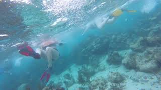 Snorkeling Coral ReefsShipwreck in Roatan Honduras [upl. by Pearman]