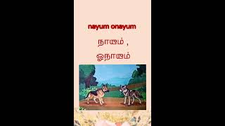 நாயும் ஓநாயும்  nayum onayum  stories fr kids  tamil [upl. by Yrrad]