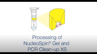 Processing of NucleoSpin Gel and PCR Cleanup XS [upl. by Michele]