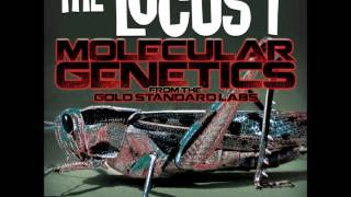 Perils Of Believing In Round Squares REMASTERED HQ with lyrics  The Locust [upl. by Schroer]