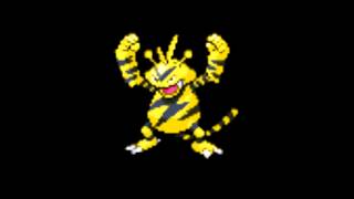 Pokemon Cries  125 Electabuzz [upl. by Laktasic592]