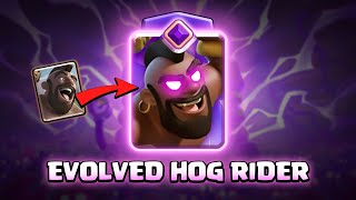 EVOLVED HOG RIDER  Clash Royale [upl. by Tullus]