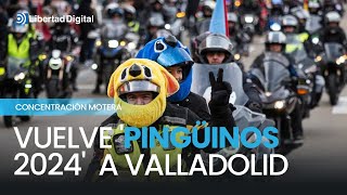 Vuelve Pingüinos 2024 a Valladolid con miles de moteros [upl. by Verna]