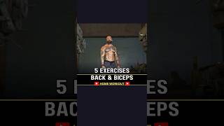 Back and Biceps Home Workout 5 simple exercises [upl. by Onitsuaf]