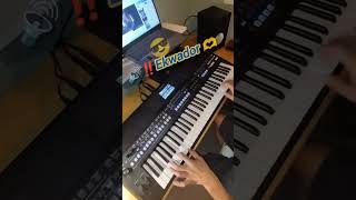 Manieczki 💪😎🎹 manieczki ekwador yamahakeyboards pianomusic [upl. by Lareena216]