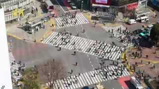 4K Ultra HD Shibuya Street Crossing time lapse in Tokyo 4K映像渋谷交差点 1日微速度撮影 [upl. by Renferd398]