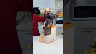 How to extract fruit juice and how to drink ittrending enjoy juice [upl. by Retsehc]