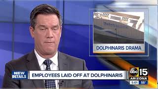 Dolphinaris laying off workers ahead of temporary closure [upl. by Oab59]