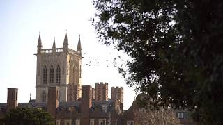 The Choir of St Johns College Cambridge Trailer [upl. by Nailil]