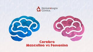 Cerebro masculino vs cerebro femenino [upl. by Aceber]