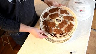 How to Dehydrate Beef Jerky With Jerky Gun [upl. by Bensky]