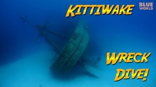 Return to the Kittiwake Wreck Its sideways now [upl. by Letnohc]