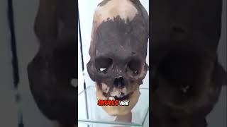 Are Paracas Skulls Proof of Ancient Alien Life [upl. by Nani]