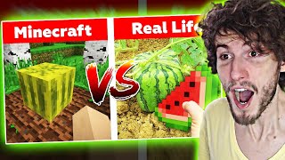 MINECRAFT VS VIDA REAL 16 [upl. by Odilo]