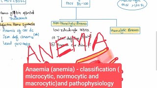 Anaemia anemia  classification microcytic normocytic and macrocytic and pathophysiology [upl. by Farkas]