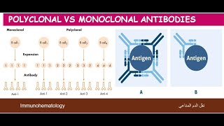 Lecture 19 Polyclonal VS Monoclonal Antibodies [upl. by Miyasawa28]