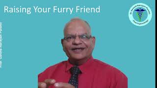 How to Care for Your Adolescent Dog  Expert Guide by GNP Sir [upl. by Anahsak]