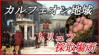 【黒い砂漠】カルフェオン地域トリュフ採取場所 [upl. by Rossner400]