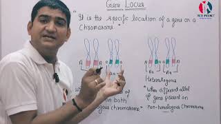 GENE LOCUS  HOMOLOGOUS  HETEROLOGOUS  Homozygous Vs Heterozygous genetics gene [upl. by Nehtanhoj]