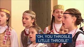 Lithuanian folk songs and dances [upl. by Jesh951]