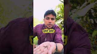 Urinary infection  Prostatitis पेशाब में इन्फेक्शन जलन प्रोस्टेट  mishraveda [upl. by Yerffoej701]