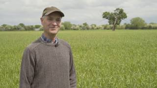 Cotswold Seeds First Hand Two Year Ryegrass amp Timothy Ley with Michael North [upl. by Anemix835]