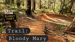 Pemberton mtb bikepark  Bloody Mary trail  Karri Valley trip black mtbtrails australia [upl. by Earehs522]