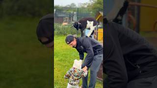 Charity of the Month Stonebridge City Farm🐐🐄 [upl. by Amin896]