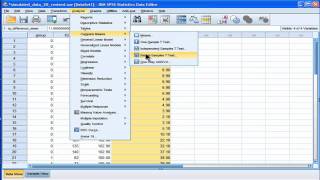 Levenes test  SPSS part 2 [upl. by Canice874]