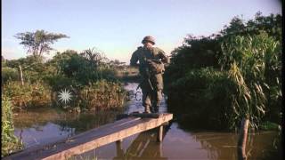 Soldiers walk through the fields and villages during Operation Hump of the VietnaHD Stock Footage [upl. by Carlile284]