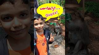 Tour to Munnar Cumbum grapes farm 🍇🍓 shorts [upl. by Minor]