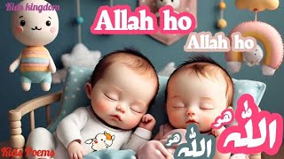 Allah Hoo Allah Hoo lori kids cartoon Allah hoo Allah HooLullabies for kidsAllah hoo poem in Urdu [upl. by Aurora968]