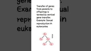 Horizontal vs Vertical gene transfer Genetic recombinant Molecular biology shorts neet biology [upl. by Eilujna441]