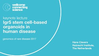 Lgr5 stem cellbased organoids in human disease  Hans Clevers [upl. by Hadeehuat676]