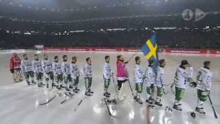 Hammarby  Sandviken 94  SMFinal 2013  HD [upl. by Bainbridge]