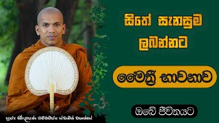 මෛත්‍රී භාවනාව  VenKirulapana Dhammawijaya Thero [upl. by Aidiruy741]