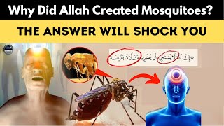 Why Did Allah Create Mosquitoes The Answer Will Shock You quotMiracle of the Quranquot  Islamic Lectures [upl. by Meris127]