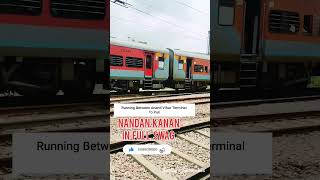 ANAND VIHAR TERMINAL TO PURI  NANDAN KANAN FULL THROTTLE train railway [upl. by Alegnat244]