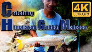 Himalayan Golden Mahseer Fishing  Fishing in Nepal  How to catch Mahseer  Fishing at Adhikhola [upl. by Thorfinn707]