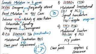 Pancreatic Carcinoma  Robbins pathology chapter 17 pancreas pathology pathology mbbslectures [upl. by Ijies507]