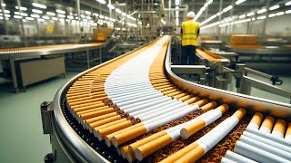 Cómo se producen millones de cigarrillos  Proceso de producción de cigarrillos [upl. by Silverstein]