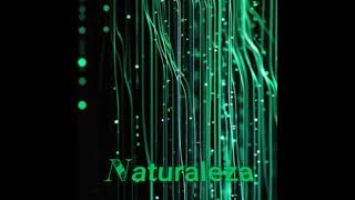 Naturaleza  DJ Violeta [upl. by Ortiz]