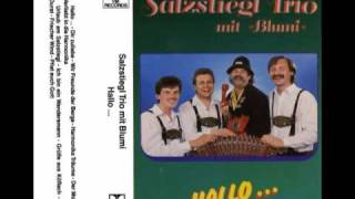 Salzstiegl Trio mit Blumi  Wir freunde der berge [upl. by Thayer1]