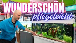 Das pflegeleichteste Aquarium Juwel Rio 240 mit Moosrückwand [upl. by Scevor]