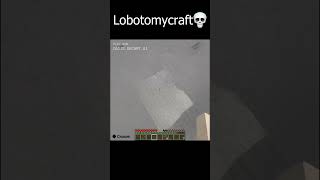 Minecraft After The Lobotomy 💀 shorts minecraft [upl. by Fia]