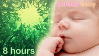 ✰ 8 HOURS ✰ Baby Sleep Music ♫ Relaxing Music for Babies to go to Sleep ♫ FOREST SOUNDS ♫ [upl. by Rici]