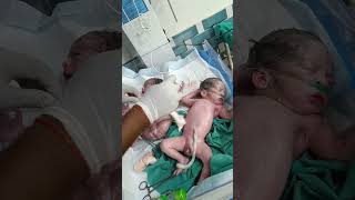 Twince baby after birthday loud cry in nicu cutebaby baby twinbabies twins [upl. by Ahcsrop]