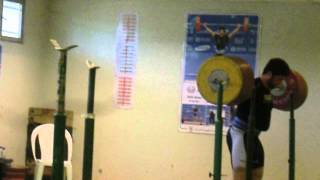 Navab Nasirshelal 300kg Squat [upl. by Wehttam]